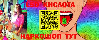 сатива Кингисепп