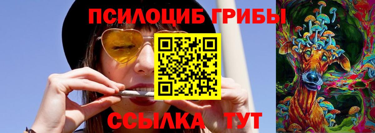 Галлюциногенные грибы MAGIC MUSHROOMS  Вход с VPN  Чернушка 